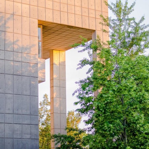 Corner of large cement building behind a tall green tree